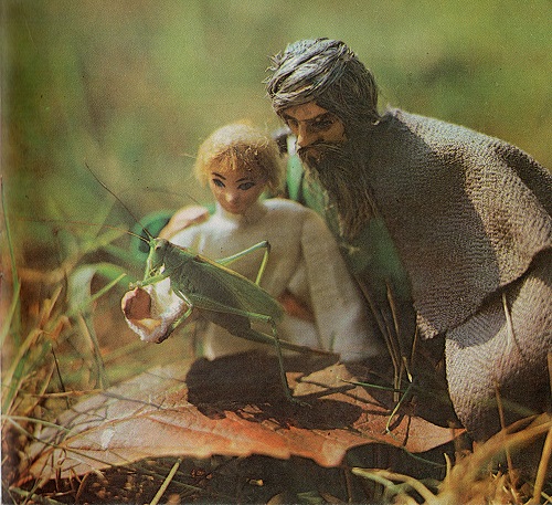 Kliknij, by powiększyć