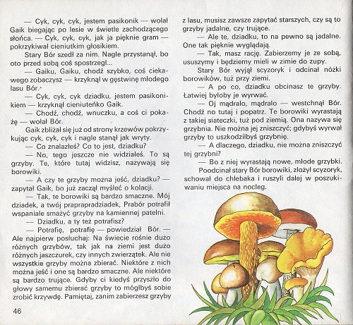 Kliknij, by powiększyć