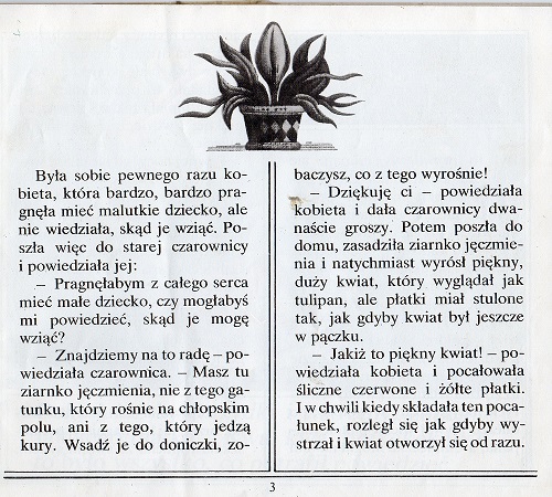 Kliknij, by powiększyć