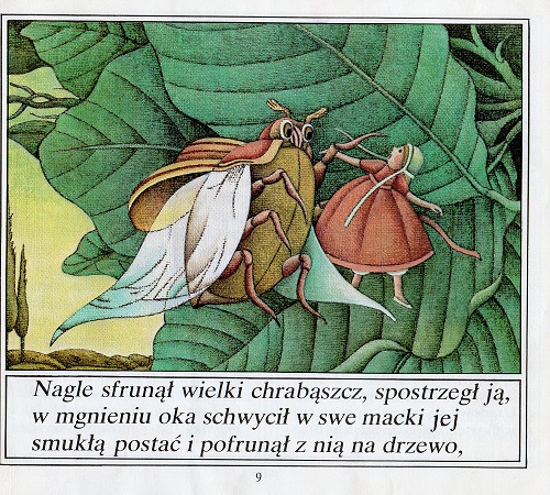 Kliknij, by powiększyć