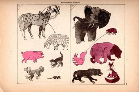 Kliknij, by powiększyć