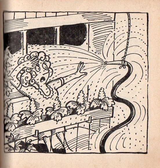 Kliknij, by powiększyć