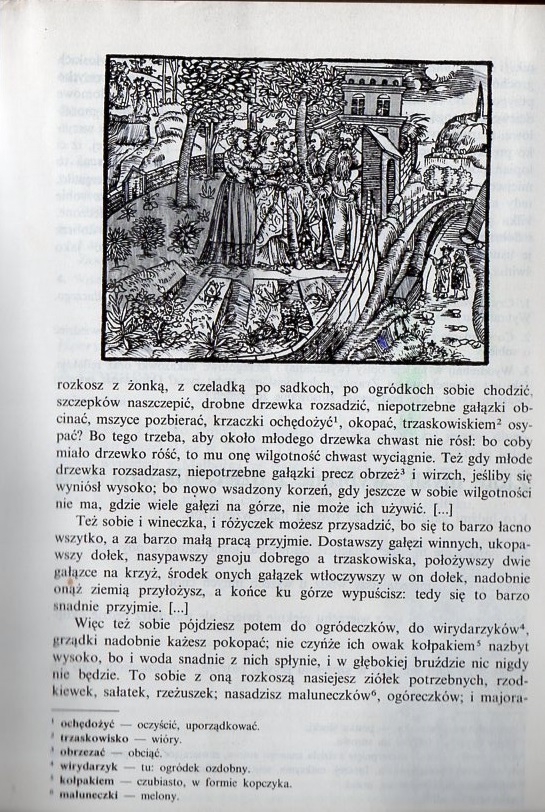 Kliknij, by powiększyć