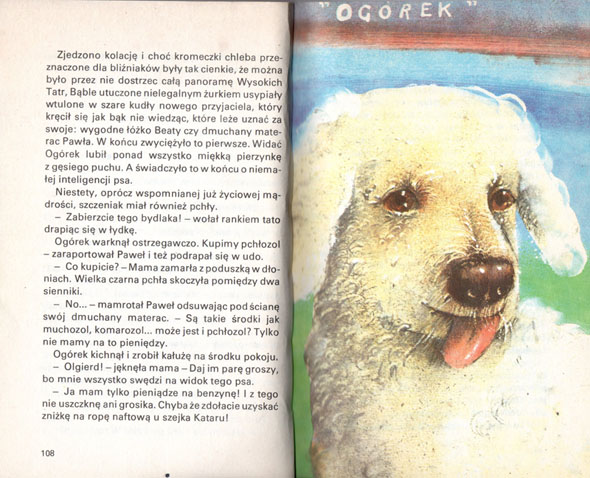 Kliknij, by powiększyć