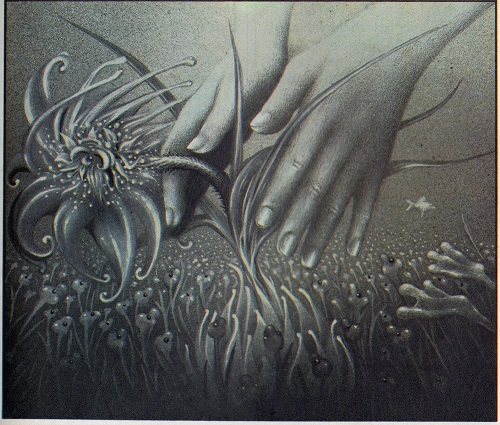 Kliknij, by powiększyć