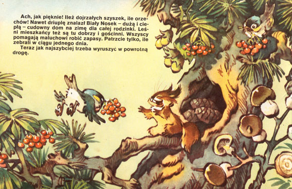 Kliknij, by powiększyć