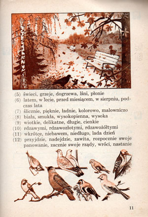 Kliknij, by powiększyć