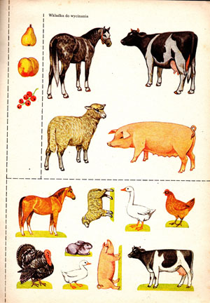 Kliknij, by powiększyć