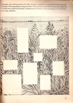 Kliknij, by powiększyć