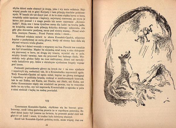 Kliknij, by powiększyć