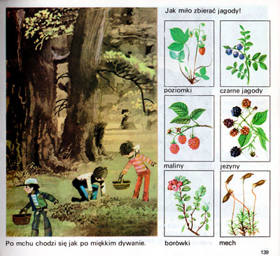 Kliknij, by powiększyć