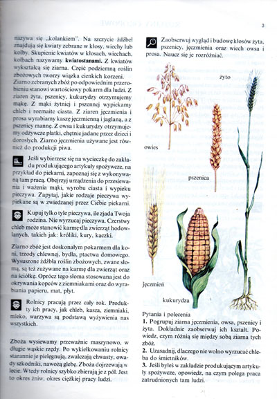 Kliknij, by powiększyć