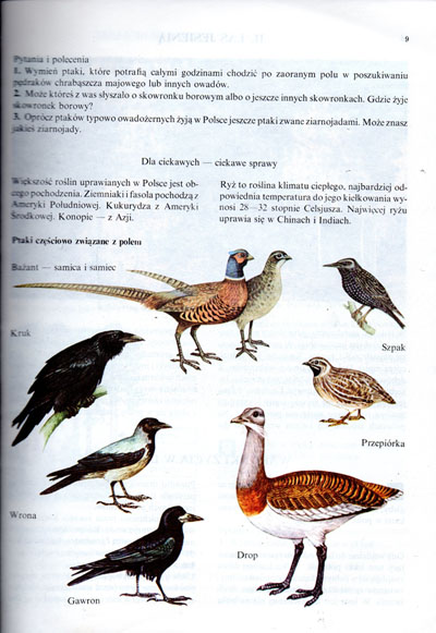 Kliknij, by powiększyć