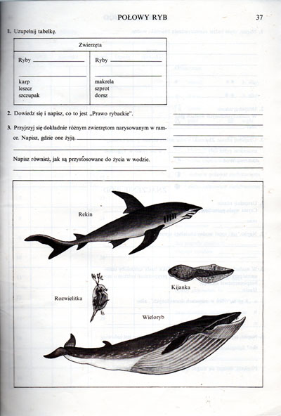 Kliknij, by powiększyć