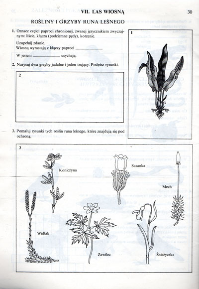 Kliknij, by powiększyć
