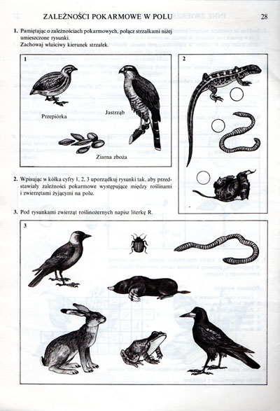 Kliknij, by powiększyć