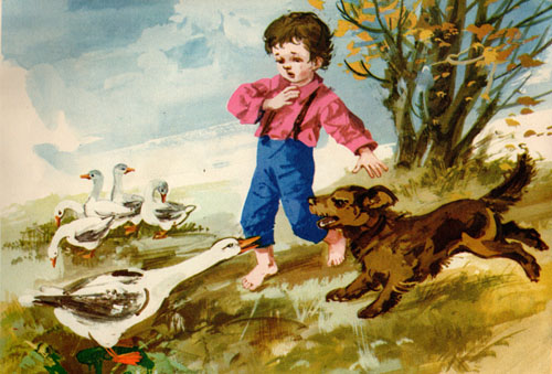 Kliknij, by powiększyć