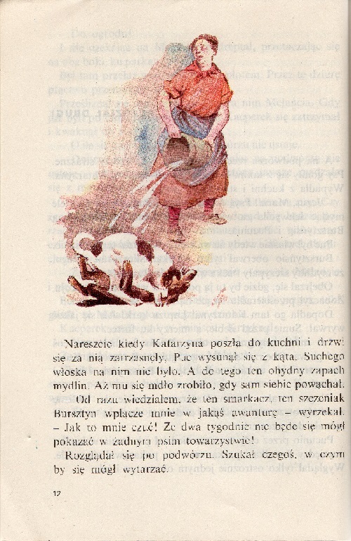 Kliknij, by powiększyć