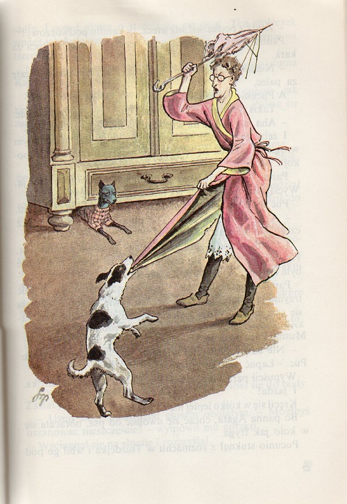 Kliknij, by powiększyć