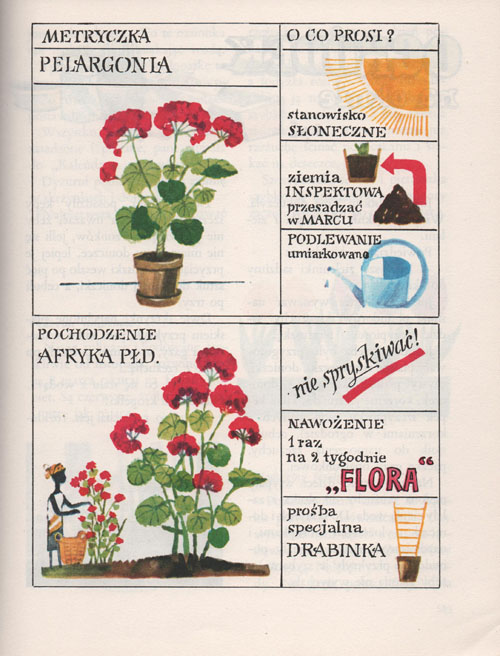 Razem ze słonkiem 3