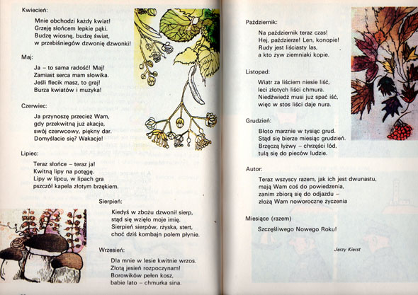 Kliknij, by powiększyć