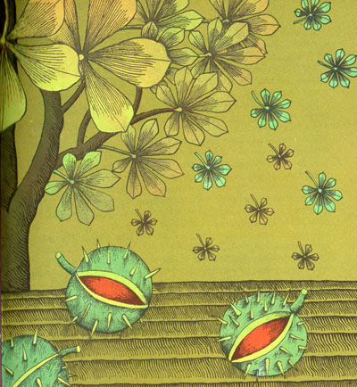 Kliknij, by powiększyć