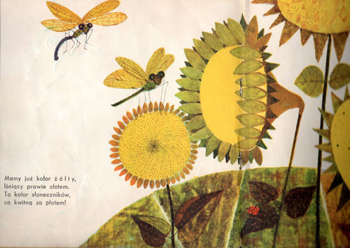 Kliknij, by powiększyć