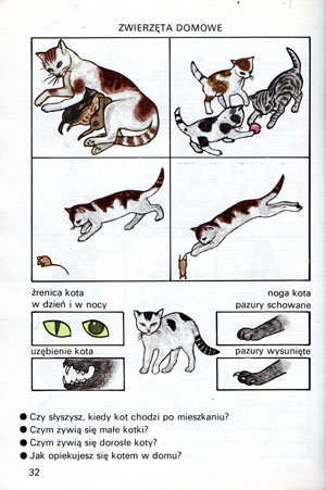 Kliknij, by powiększyć