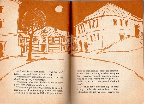 Kliknij, by powiększyć